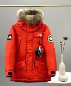 The North Face Coat - NC044